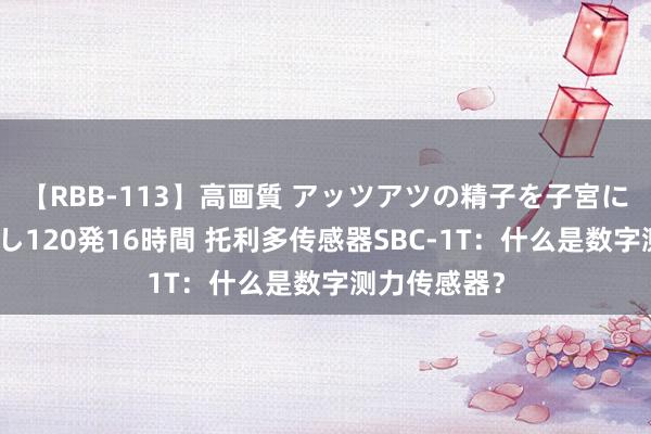 【RBB-113】高画質 アッツアツの精子を子宮に孕ませ中出し120発16時間 托利多传感器SBC-1T：什么是数字测力传感器？