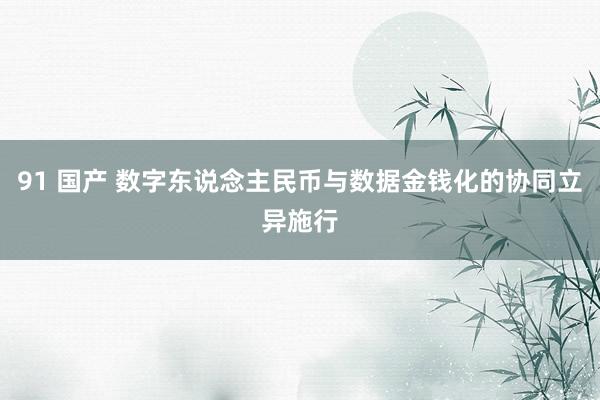 91 国产 数字东说念主民币与数据金钱化的协同立异施行