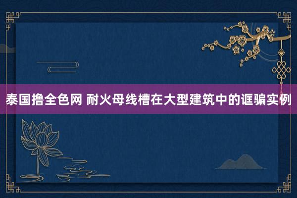 泰国撸全色网 耐火母线槽在大型建筑中的诓骗实例