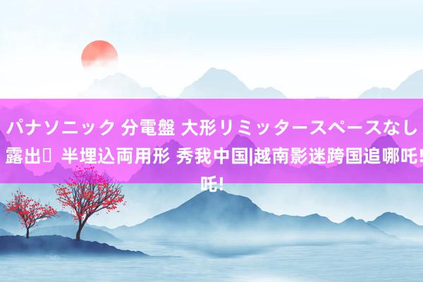 パナソニック 分電盤 大形リミッタースペースなし 露出・半埋込両用形 秀我中国|越南影迷跨国追哪吒!