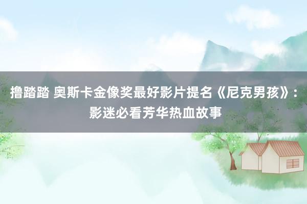 撸踏踏 奥斯卡金像奖最好影片提名《尼克男孩》: 影迷必看芳华热血故事