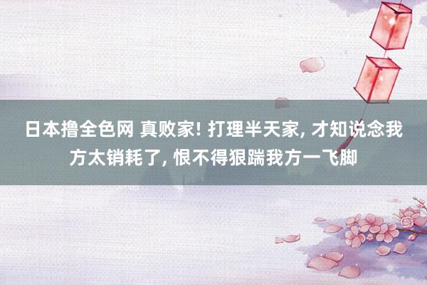 日本撸全色网 真败家! 打理半天家， 才知说念我方太销耗了， 恨不得狠踹我方一飞脚