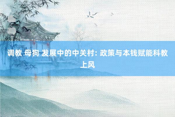 调教 母狗 发展中的中关村: 政策与本钱赋能科教上风