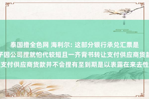 泰国撸全色网 海利尔: 这部分银行承兑汇票是公司收到客户的应收单子因公司捏就怕代较短且一齐背书转让支付供应商货款并不会捏有至到期是以表露在来去性金融钞票中