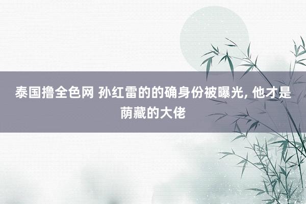 泰国撸全色网 孙红雷的的确身份被曝光， 他才是荫藏的大佬