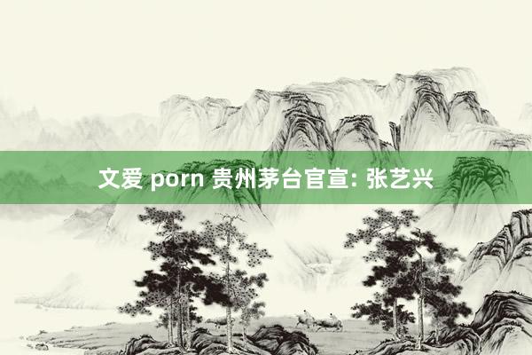 文爱 porn 贵州茅台官宣: 张艺兴