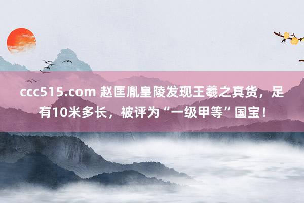 ccc515.com 赵匡胤皇陵发现王羲之真货，足有10米多长，被评为“一级甲等”国宝！