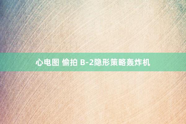 心电图 偷拍 B-2隐形策略轰炸机