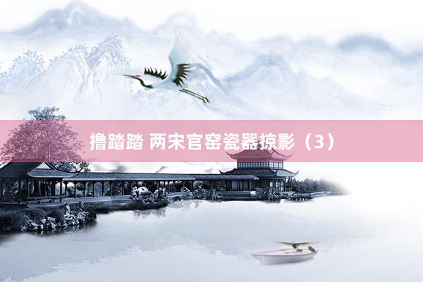 撸踏踏 两宋官窑瓷器掠影（3）