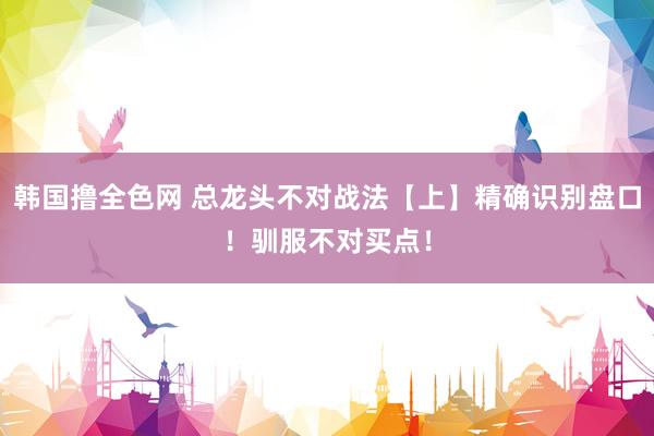 韩国撸全色网 总龙头不对战法【上】精确识别盘口！驯服不对买点！