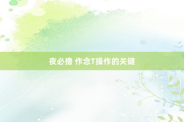 夜必撸 作念T操作的关键