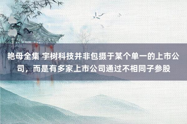 艳母全集 宇树科技并非包摄于某个单一的上市公司，而是有多家上市公司通过不相同子参股